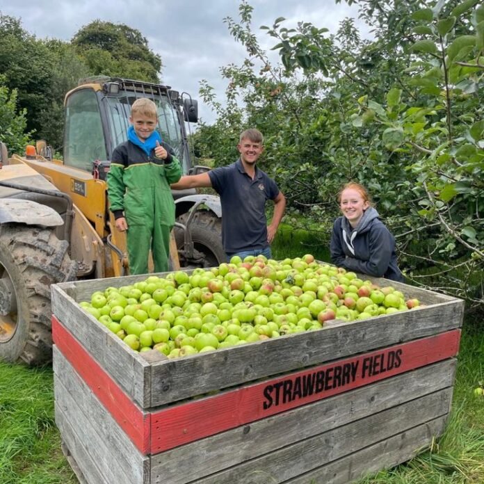 Farm Worker Jobs in New Zealand