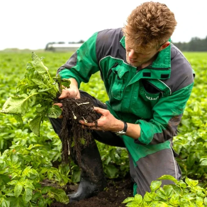 Farm Worker Jobs in Canada